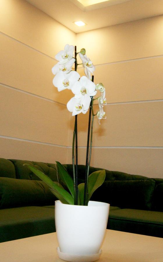 Apartment Jasmine 2 贝尔格莱德 外观 照片